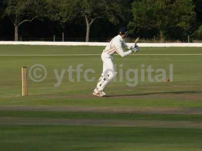 20120726 - cricket 260712 073.JPG