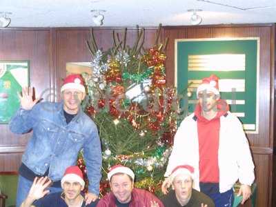 tree1